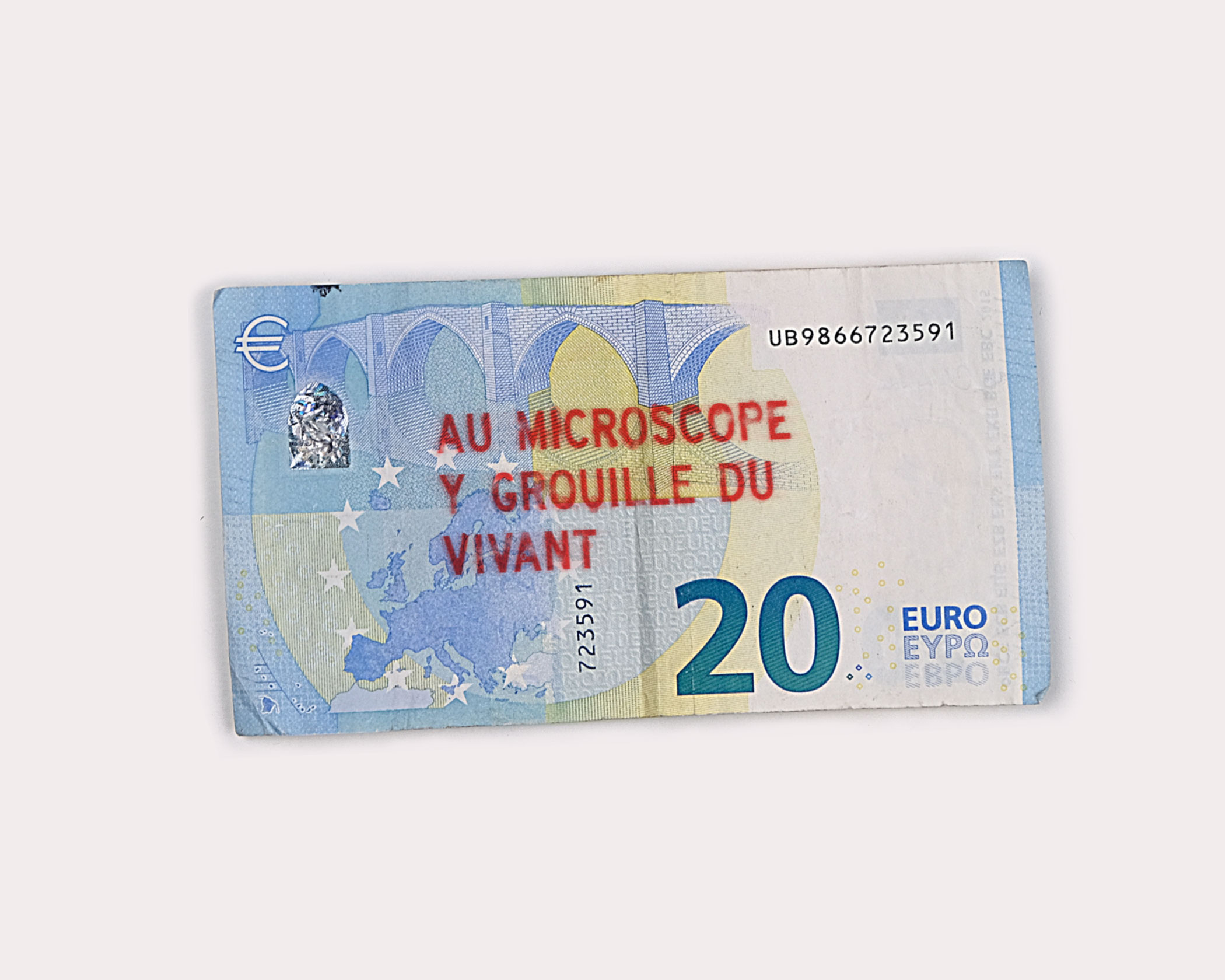 Au microscope y grouille du vivant